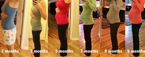 2 Meses De Gravidez Tamanho Da Barriga