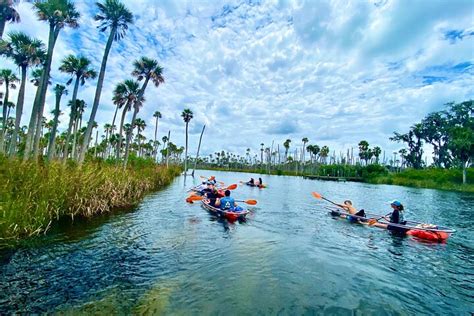 Get Up And Go Kayaking Weeki Wachee Spring Hill Lo Que Se Debe