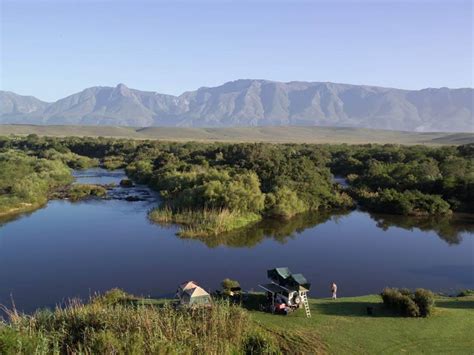 bontebok national park   overberg whales