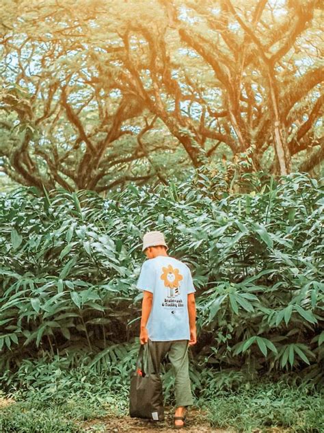 Hutan De Djawatan Banyuwangi Yang Merupakan Tempat Berburu Foto Keren