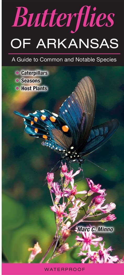 Butterflies of Arkansas – Quick Reference Publishing