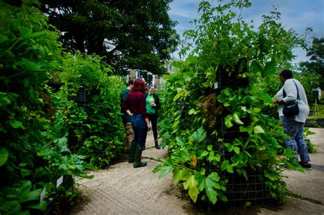 Getting to Harringay Green Lanes via Public Transportation 2