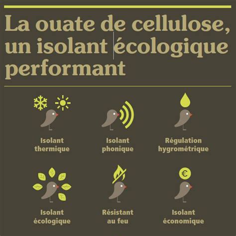 Ouate de cellulose Cellaouate isolant biosourcé en vrac Sac de 10 kg