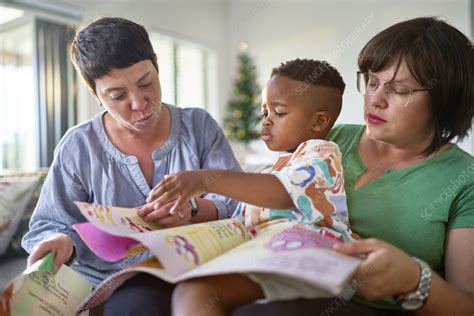 Lesbian Couple And Son Reading Stock Image F Science Photo Library