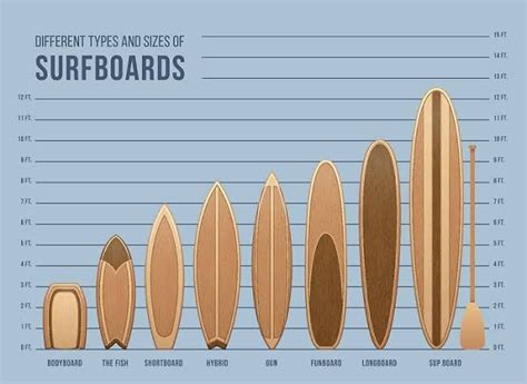 The Different Types And Sizes Of Surfboards Are Shown In This Graphic