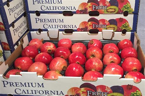 Packaging King Fresh Llc