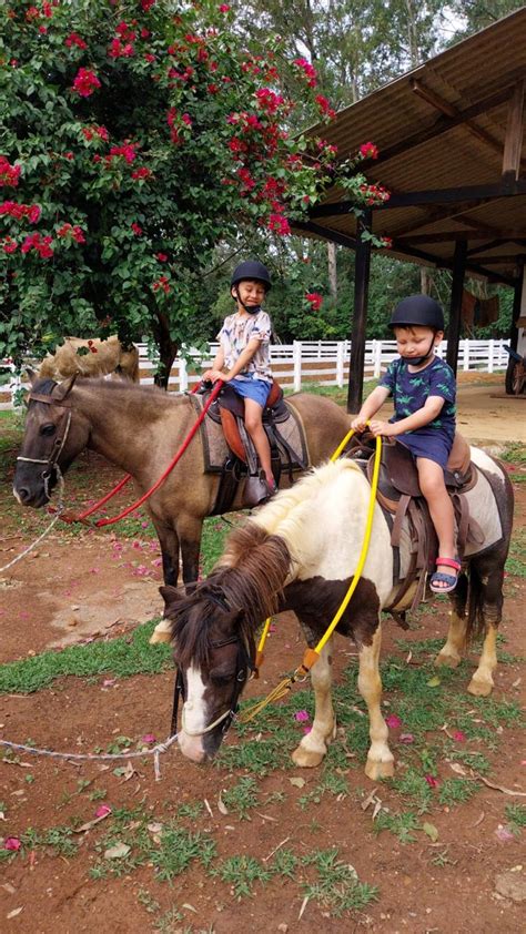 Passeio A Cavalo Chapada Dos Veadeiros