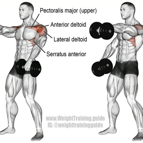 Alternating Dumbbell Front Raise By Martel Berry Exercise How To