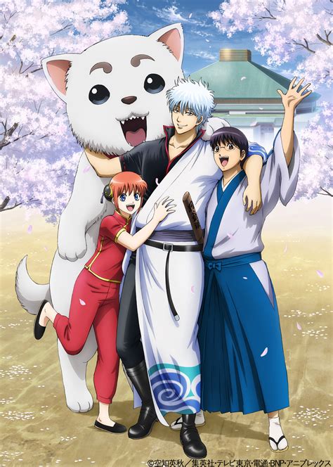 Sakata Gintoki Kagura Shimura Shinpachi And Sadaharu Gintama