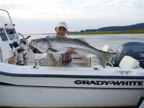 Friday Fish Porn Follow Up Edition Eduwonk