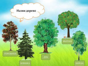 Інтерактивна дидактична гра "Що ми знаємо про дерева"