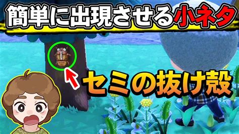 【あつ森】セミの抜け殻の出現確率は驚異の『 』 なかなか出ないと思ってる人は必見 【あつまれ どうぶつの森】【ぽんすけ