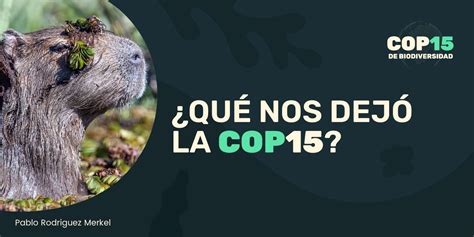 Cop Un Marco Mundial Para Proteger A La Biodiversidad A Farn