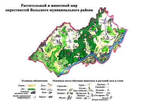 Растительный мир