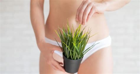 how to stop my pubic hair from growing