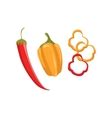 Red Hot Chili Pepper Realistic D Royalty Free Vector Image
