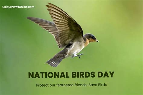 National Bird Day 2024 Theme Slogans Quotes Images Messages