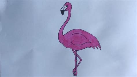 Kolay Flamingo Çizimi// Flamingo nasıl çizilir//Easy Flamingo Drawing