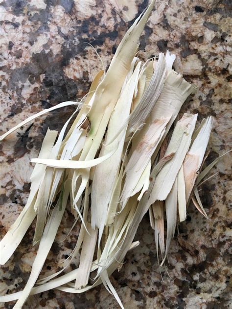 Herbal Remedies Home Remedies Natural Remedies Willow Bark Willow