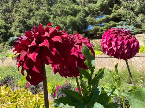 13 Hidden Gems in Duluth, MN That Locals Love to Visit – Journey