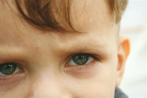 Kostenloses Foto Zum Thema Augen Grüne Augen Kind
