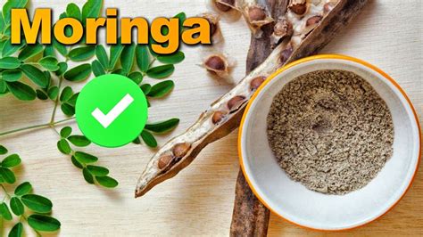 4 Beneficios De LA MORINGA Para Tu Salud Como Se Toma Propiedades De