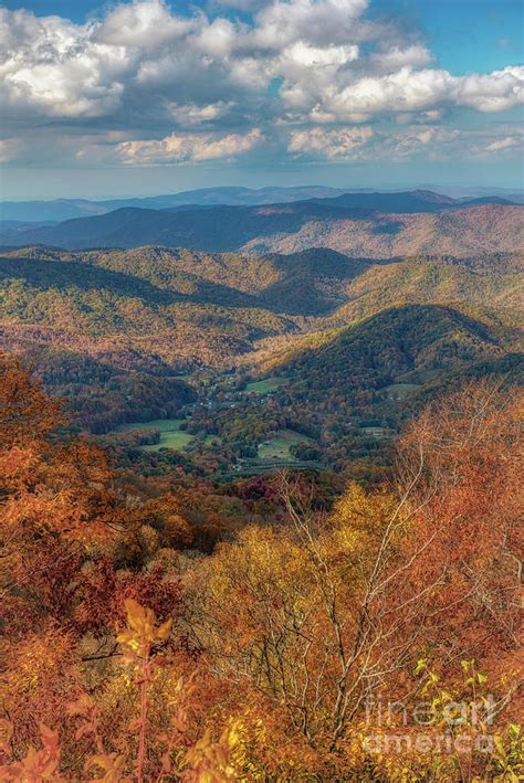 Roan Mountain Overlook Photograph By Nicki Mcmanus Pixels