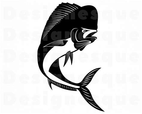 Mahi Mahi Vector At Collection Of Mahi Mahi Vector