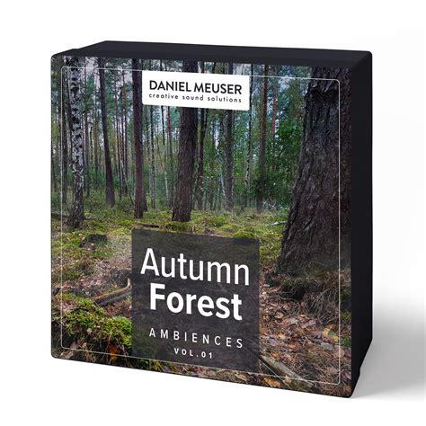 Autumn Forest Vol. 01 - Ambiences | Nature Ambience Sound Effects ...