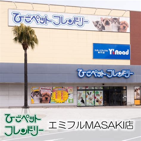 【ひごペットフレンドリーエミフルmasaki店】地域最大級の品揃え！ドッグランやお買い物まで楽しめるお店♪