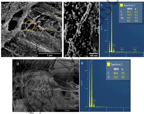 Sem Image Of Pei Agnp Decorated Filter Paper At A Lower Magnification