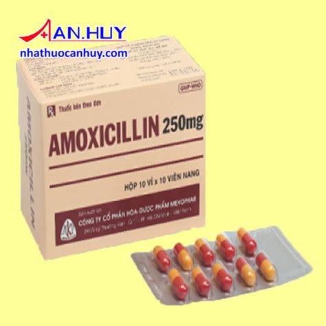 Thuốc Ampicillin 250mg Mekophar Kháng Sinh điều Trị Nhiễm Khuẩn Nhà