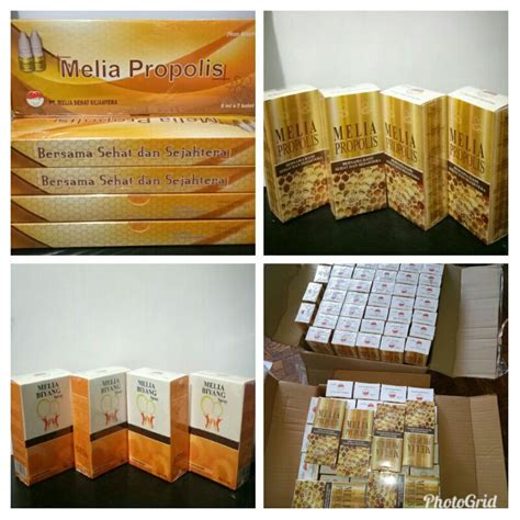 Jual PROPOLIS MELIA SEHAT SEJAHTERA 1 BOX PROPOLIS MELIA 30 ML PROPOLIS