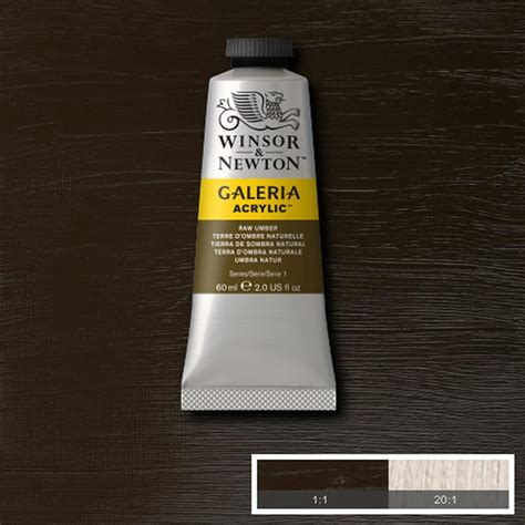 Winsor Newton Galeria Acrylic 60ml Raw Umber The Deckle Edge