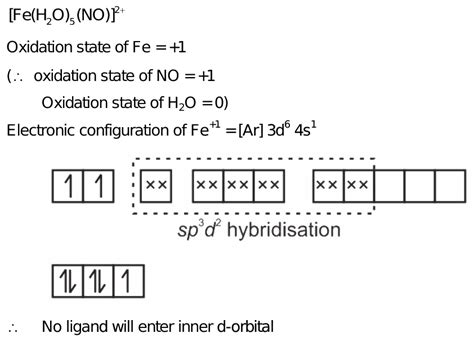 Hybridization Scheme Of Feh²o5no ² Which Ligand Will Enter Inner