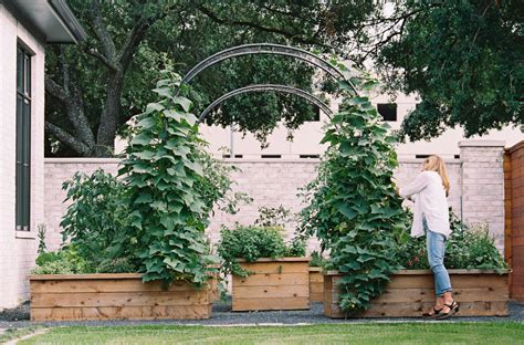 Arch Trellis Ideas For The Kitchen Garden Gardenary