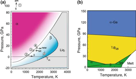 A Prediction Of The Phase Diagram Of Boron By The Present Author