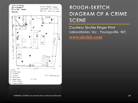 Lacey Fletcher Case: Crime Scene Photos – A Deeper Look Image 19