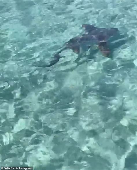 Sofia Richie Models Another String Bikini Daily Mail Online