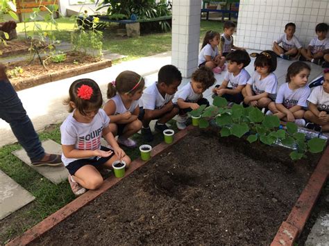 Horta Na Escola Como Fazer - Como Fazer Uma Horta Na Escola - NAZAEDU