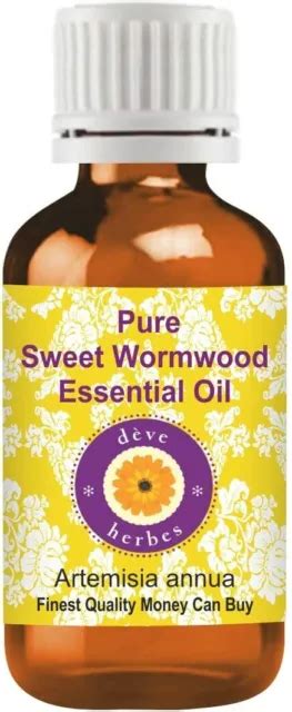 PURE SWEET WORMWOOD Essential Oil Artemisia Annua 100 Natural