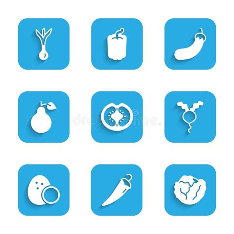 Set Tomato Hot Chili Pepper Cabbage Radish Coconut Pear Eggplant And Onion Icon Vector