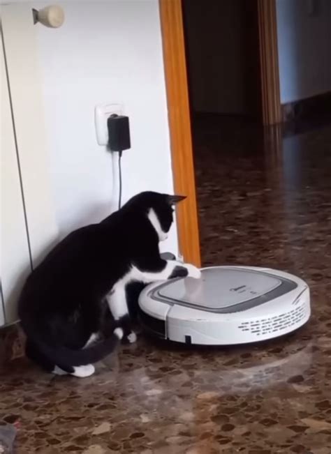 Dead Battery Mystery Solved : r/roomba