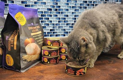 Unbiased Wild Harvest Cat Food Review In 2022 All About Cats