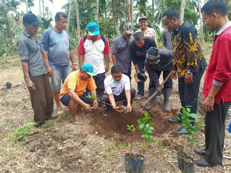 Budidayakan Asam Lemon Bupati Apresiasi Kelompok Tani Wartawan Di