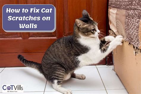 how to fix scratches on walls