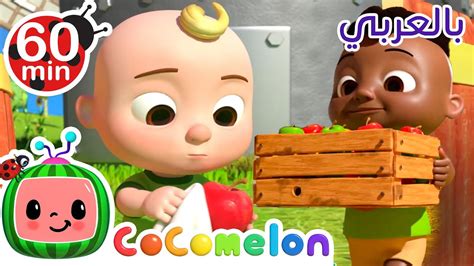 Cocomelon Arabic Counting Apples