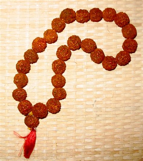 File:Rudraksha beads.jpg - Wikipedia