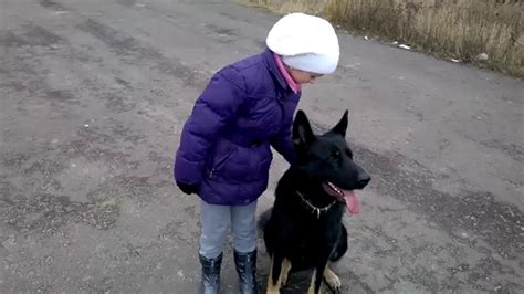 Девочка и собака телохранитель - YouTube