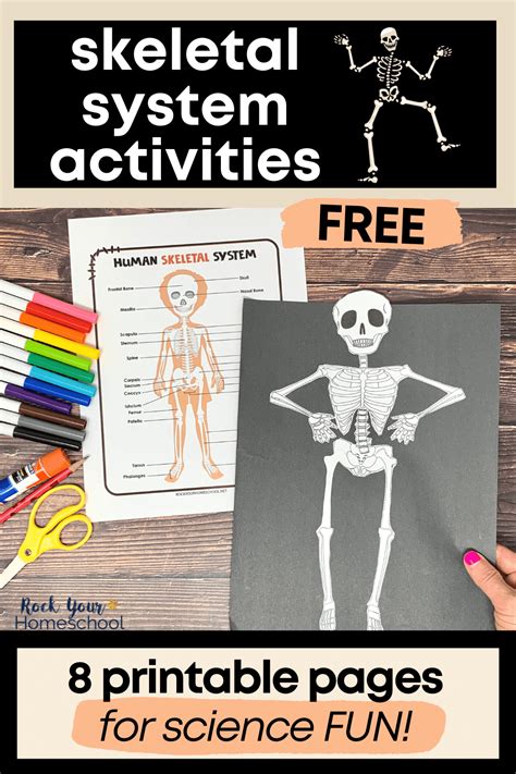 Human Skeletal System Activities Cool Ways Free Printables In Hot Sex